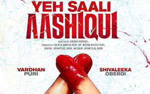 Yeh Saali Aashiqui